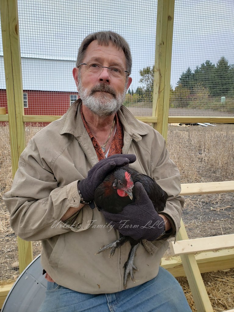 Julie is one of our favorite friendly hens. Our spring chickens are pampered from the beginning of their lives on our farm. © Urlakis Family Farm, 2021-2023, unauthorized use is prohibited