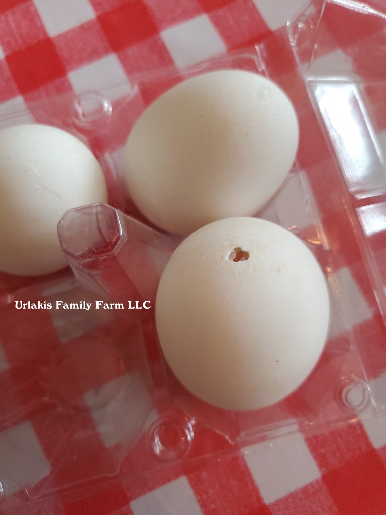 ©UrlakisFamilyFarm2025, unauthorized use prohibited